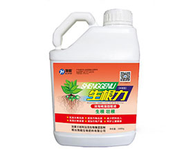 北京生根力 北京生根力
