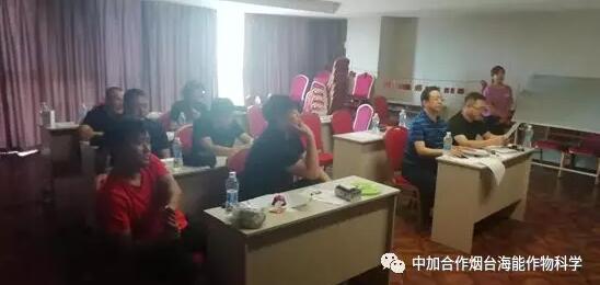 知識競賽爭先鋒，比學趕超展風采