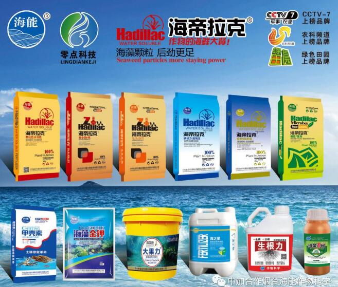 2019改變務果觀念 2019改變務果觀念