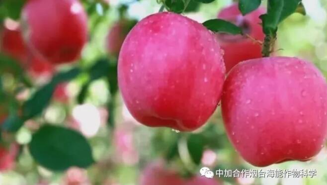 2019改變務果觀念 2019改變務果觀念