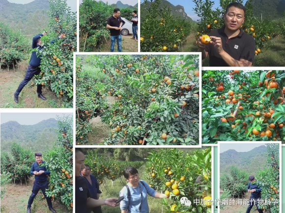 海帝拉克走進了雨中的廣西柳州 海帝拉克走進了雨中的廣西柳州