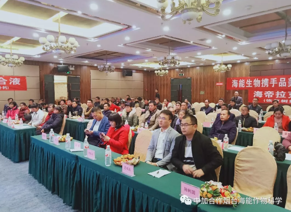 海帝拉克走進了雨中的廣西柳州 海帝拉克走進了雨中的廣西柳州