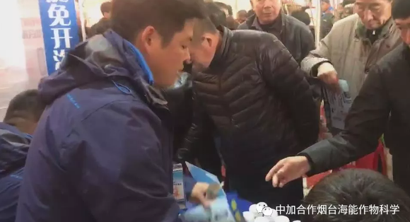 五一成人漫画生物帶你玩轉煙台苗木會 五一成人漫画生物帶你玩轉煙台苗木會