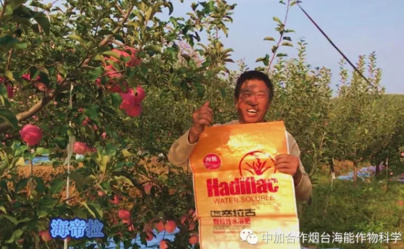 用實力證明一切-----眾多種植戶都在說這樣的一句話 用實力證明一切-----眾多種植戶都在說這樣的一句話