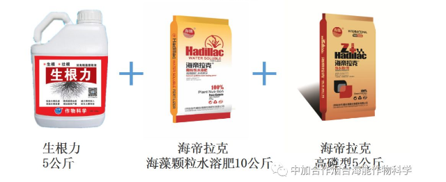 五一成人漫画生物高品質葡萄全程“傻瓜式”施肥方案 五一成人漫画生物高品質葡萄全程“傻瓜式”施肥方案