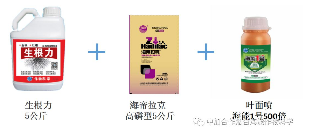 五一成人漫画生物高品質葡萄全程“傻瓜式”施肥方案 五一成人漫画生物高品質葡萄全程“傻瓜式”施肥方案