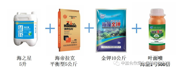 五一成人漫画生物高品質葡萄全程“傻瓜式”施肥方案 五一成人漫画生物高品質葡萄全程“傻瓜式”施肥方案