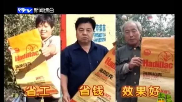 蘋果樹12月管理技術要點！抓緊時間看