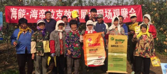 蘋果樹12月管理技術要點！抓緊時間看