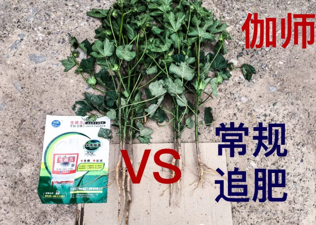 天山、戈壁、沙漠五一成人漫画與你在這裏相遇