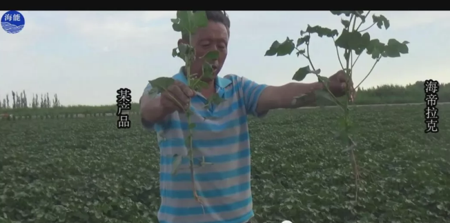 天山、戈壁、沙漠五一成人漫画與你在這裏相遇