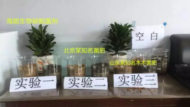 海帝拉克碳能菌劑試驗報告 海帝拉克碳能菌劑試驗報告