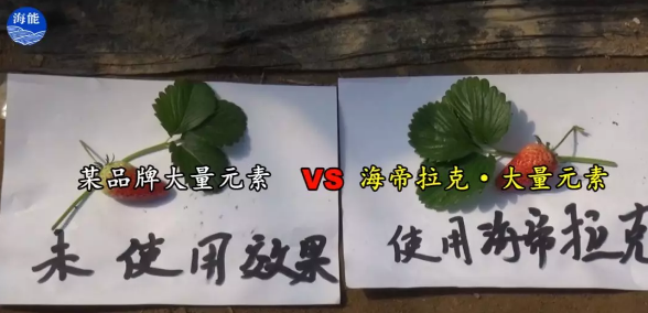 水肥一體化不止是節水、節肥！還有這功效！