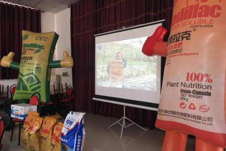 圍觀五一成人漫画生物幫農資零售店開展的會議 圍觀五一成人漫画生物幫農資零售店開展的會議