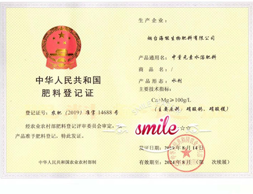 付出終會有回報，功夫不負有心人