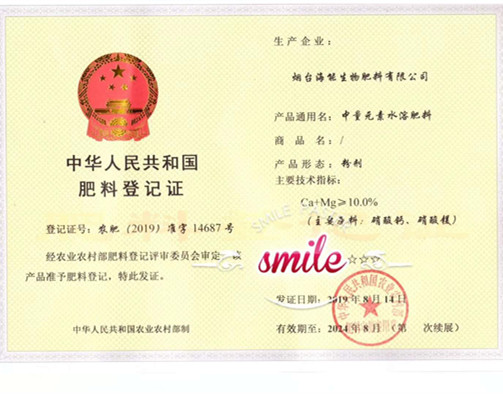 付出終會有回報，功夫不負有心人