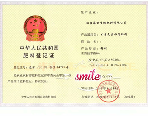 付出終會有回報，功夫不負有心人