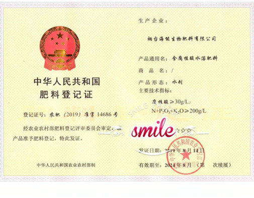 付出終會有回報，功夫不負有心人