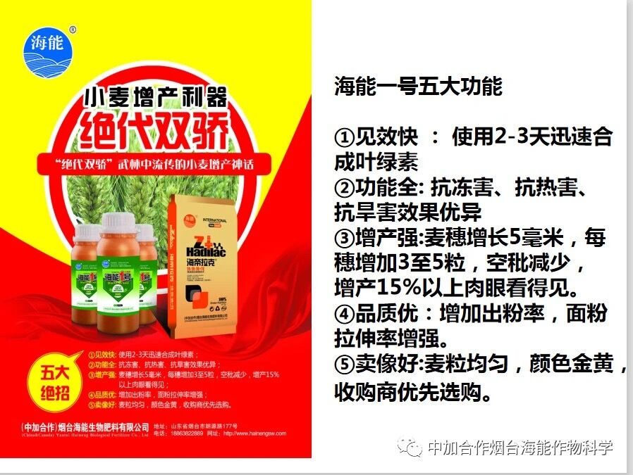 抗寒利器，五一成人漫画1號