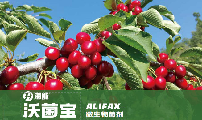 沃菌寶微生物菌劑 沃菌寶微生物菌劑