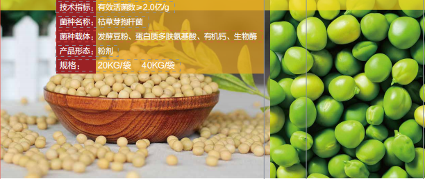 豆地主微生物菌劑 豆地主微生物菌劑