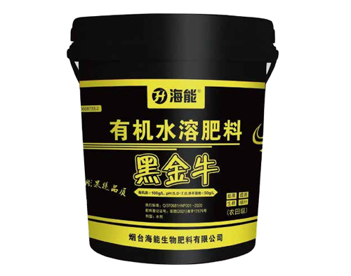 黑金牛 黑金牛
